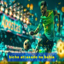 bicho atrasado na bahia